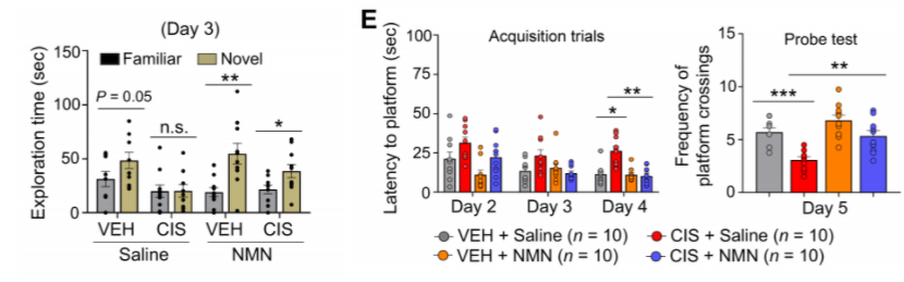 NMN prevents cisplatin-induced impairments in cognitive function.