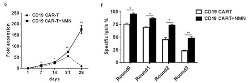 NMN treatment dramatically enhances antitumor CAR-T cell proliferation and improves cancer attacking capabilities