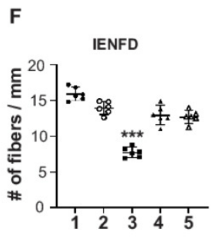 Nerve fibers that typically deteriorate with diabetes rescued by NMN supplementation