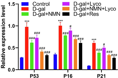 NMN, Lycopene, and Resveratrol Reduce Brain Senescence.