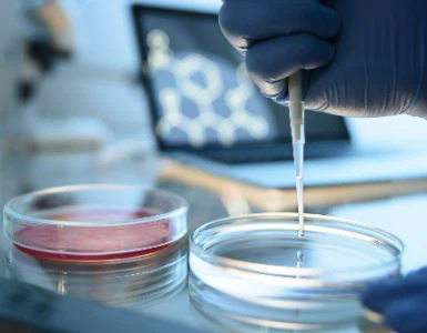 How Does NMN Alleviate Aging? How Does NMN Alleviate Aging?