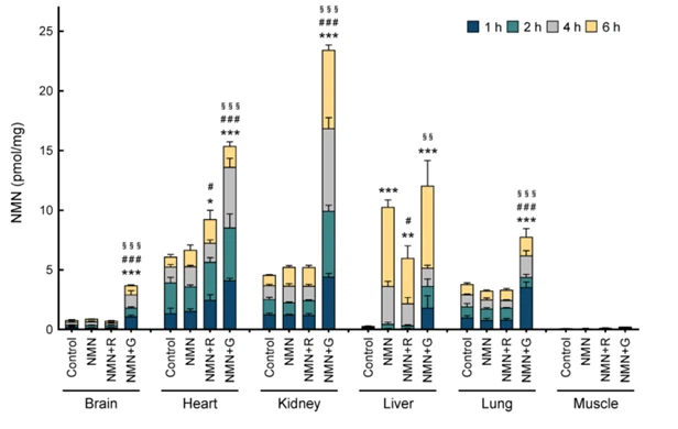 Distribution of Nicotinamide Mononucleotide (NMN) in different tissues of four groups of mice Distribution of nicotinamide mononucleotide (NMN) in different tissues of four groups of mice
