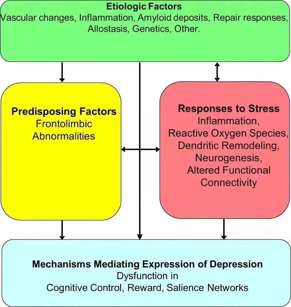 NMN Can Improve Depression