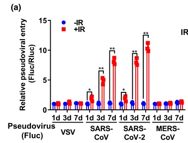 NMN Adds Evidence To Prevention And Control Of COVID-19