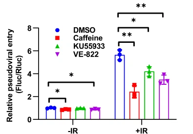 NMN Adds Evidence To Prevention And Control Of COVID-19