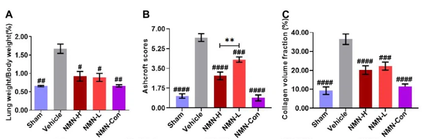Figure 1: Lung weight coefficient, pathological score, and collagen volume fraction of mice in 5 groups after 28 days of exposure to silica powder