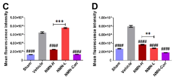 Figure 2: ROS expression (fluorescence intensity) of five groups of mice on day 7 and day 28