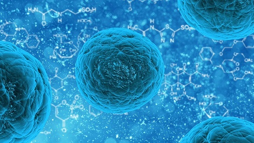 The role of glutathione in cancer stem cells The role of glutathione in cancer stem cells