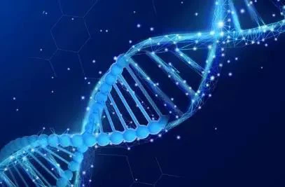 The reaction of taking NMN - the change of appetite, which is the performance of regulating metabolism