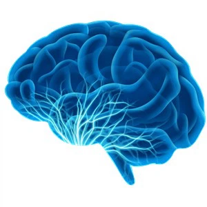 4 Points to Pay Attention to when Taking Citicoline Scientifically