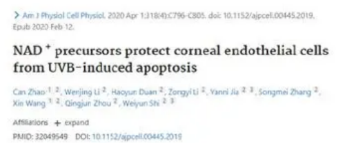 NAD precursors protect corneal endothelial cells from UVB-induced apoptosis