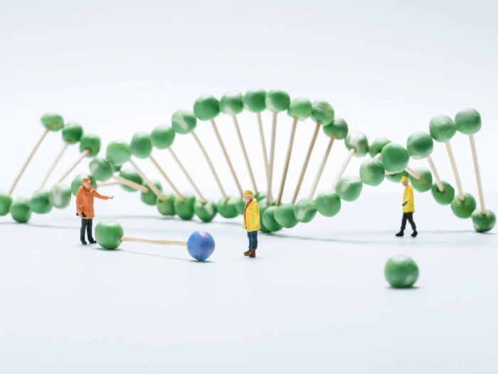 1684478371273839.jpg NMN (7).jpg