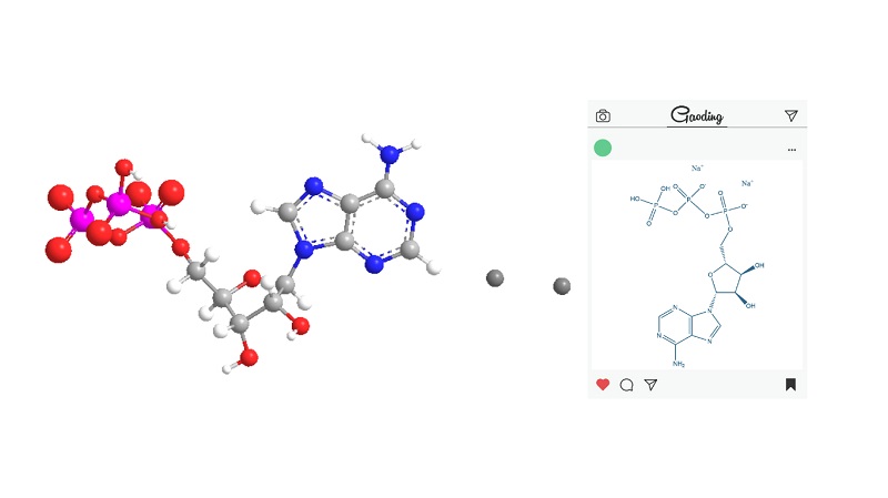 Adenosine Triphosphate ATP