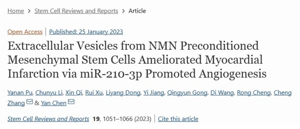 Extracellular Vesicles from NMN Preconditioned Mesenchymal Stem Cells Ameliorated Myocardial Infarction via miR-210-3p Promoted Angiogenesis Extracellular Vesicles from NMN Preconditioned Mesenchymal Stem Cells Ameliorated Myocardial Infarction via miR-210-3p Promoted Angiogenesis