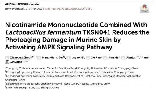 Nicotinamide Mononucleotide Combined With Lactobacillus fermentum TKSN041 Reduces the Photoaging Damage in Murine Skin by Activating AMPK Signaling Pathway