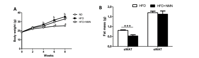 Mice treated with NMN on a high-fat diet had significantly lower body weight for eight weeks Mice treated with NMN on a high-fat diet had significantly lower body weight for eight weeks