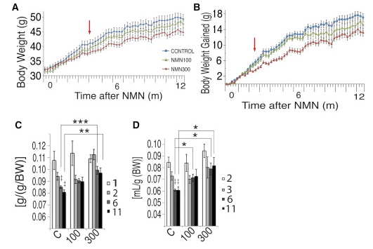 Mice in the NMN group consumed more and weighed less Mice in the NMN group consumed more and weighed less