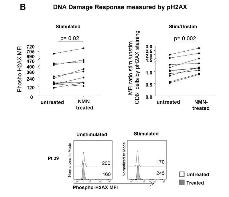 NMN supplementation may alter CD8 T cell dysfunction