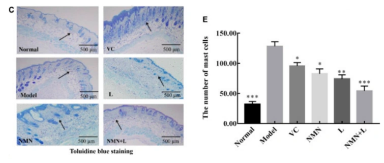 Skin and liver mRNA and protein expression levels of AMPK, NF-κBp65, IκB-α, SOD1 and CAT