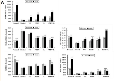 The results in Figure BC showed that UVB irradiation increased the expression level of NF-κBp65 in mouse skin and decreased the expression levels of IκB-α, AMPK, SOD and CAT.