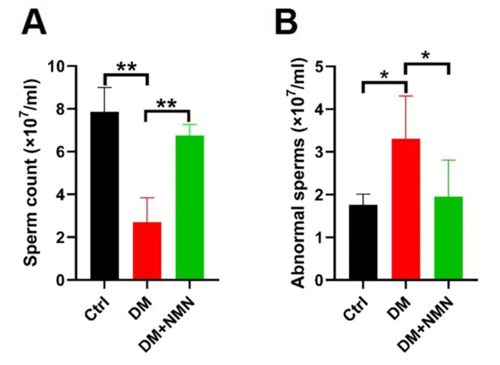 (Ma et al., 2022 | Abs) NMN increases sperm count and reduces abnormal sperm.