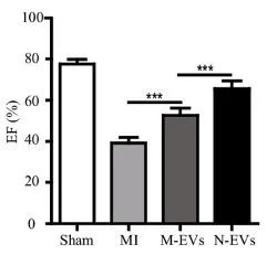 Figure: After a heart attack (MI), EF % is lower than normal (Sham) Figure: After a heart attack (MI), EF % is lower than normal (Sham)
