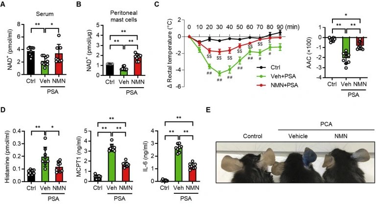NMN inhibits IgE-mediated allergic reactions. NMN inhibits IgE-mediated allergic reactions.