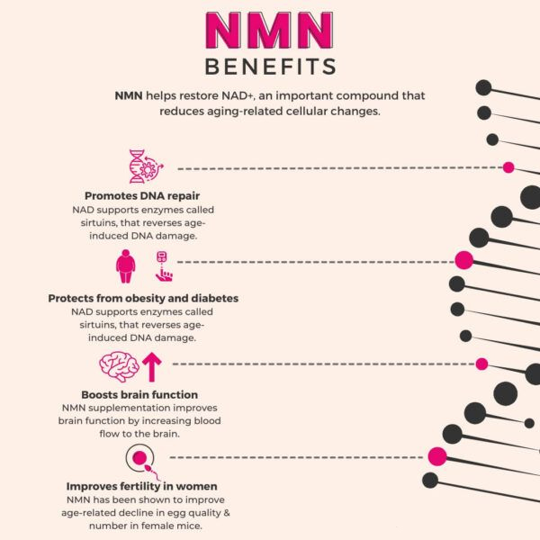 NMN benefits you may not aware