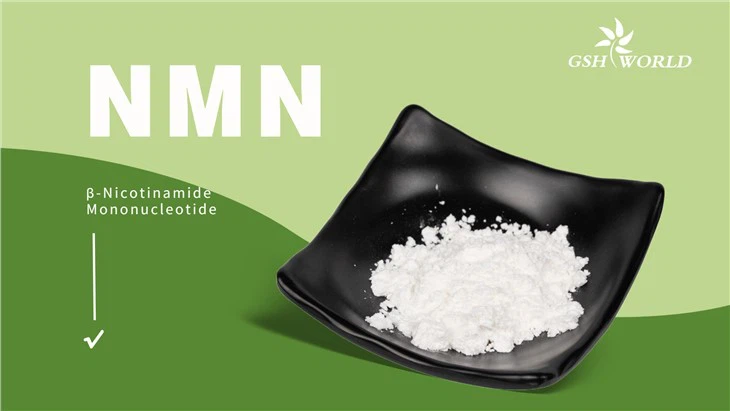 Relationship between NMN and chronic diseases