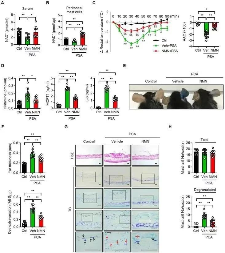 NMN inhibits IGE-mediated allergic reactions NMN inhibits IGE-mediated allergic reactions