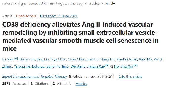 CD38 deficiency alleviates Ang Il-induced vascularremodeling by inhibiting small extracellular vesicle-mediated vascular smooth muscle cell senescence inmice