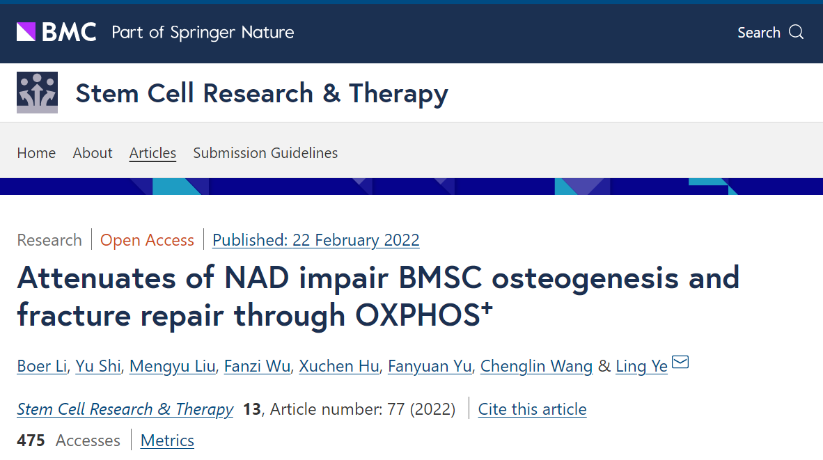 Attenuates of NAD impair BMSC osteogenesis andfracture repair through OXPHOS Attenuates of NAD impair BMSC osteogenesis andfracture repair through OXPHOS