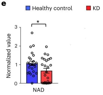 Researchers measured NAD levels in kidney disease patients and compared them with healthy adults. Researchers measured NAD levels in kidney disease patients and compared them with healthy adults.