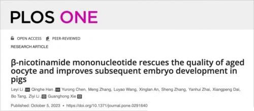 B-nicotinamide mononucleotide rescues the quality of aged oocyte and improves subsequent embryo development in pigs B-nicotinamide mononucleotide rescues the quality of aged oocyte and improves subsequent embryo development in pigs