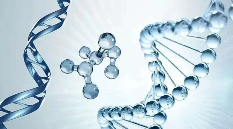From the point of view of DNA repair, NMN also makes an important contribution. From the point of view of DNA repair, NMN also makes an important contribution.