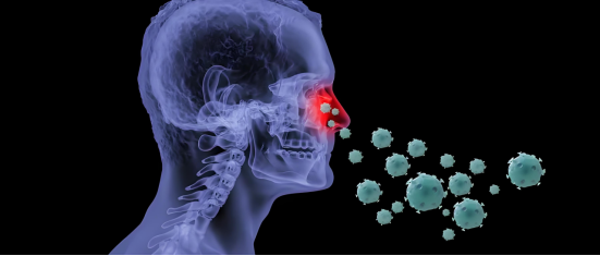 NAD+ : Antiviral immunity NAD+ : Antiviral immunity