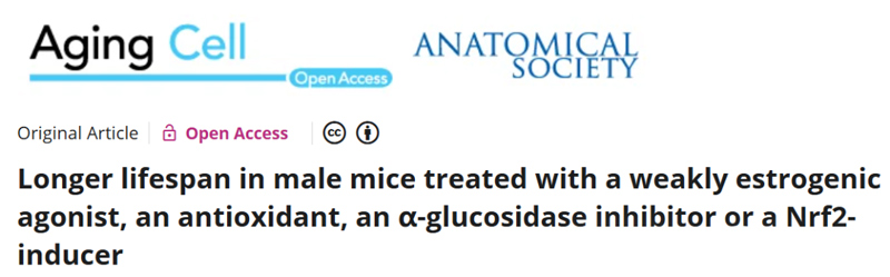 Longer lifespan in male mice treated with a weakly estrogenic agonist, an antioxidant, an a-glucosidase inhibitor or a Nrf2- inducer Longer lifespan in male mice treated with a weakly estrogenic agonist, an antioxidant, an a-glucosidase inhibitor or a Nrf2- inducer