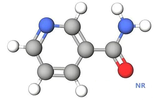 Nicotinamide Riboside Chloride NR Nicotinamide Riboside Chloride NR