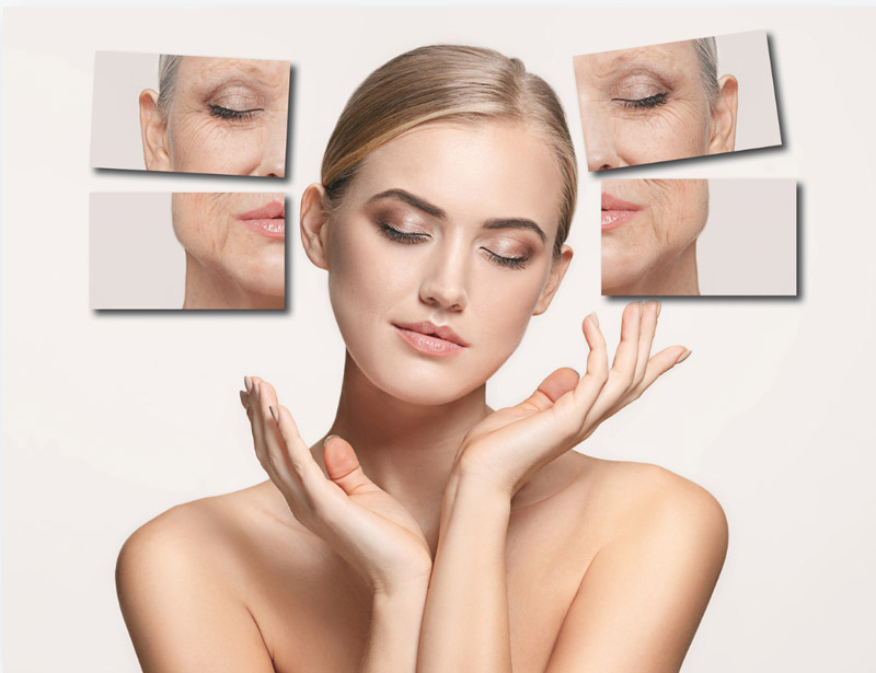 Who first discovered that NMN has anti-aging effects