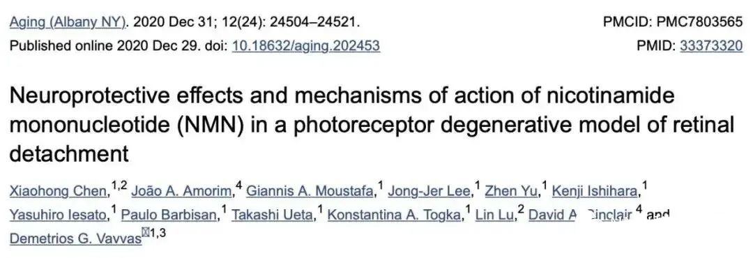 Related research