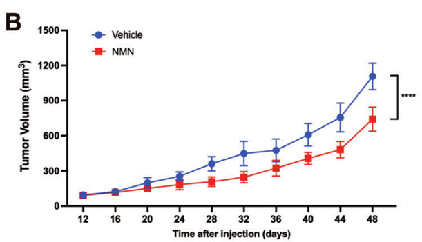 Compared with the control group, the tumors of the mice in the NMN group were significantly smaller