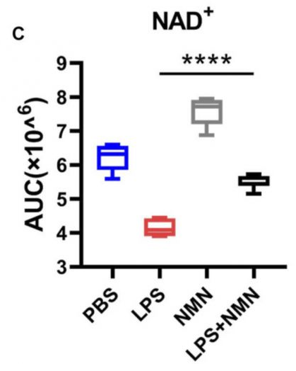 NMN reverses the characteristics of inflammatory metabolites