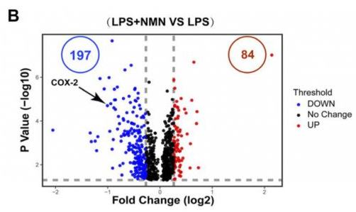 NMN restores the level of inflammation-related proteins