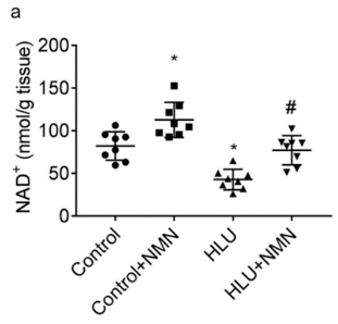 NMN restores bone mineral density in a microgravity rat model
