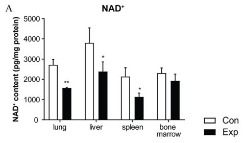 16 weeks of PM exposure significantly reduced NAD+ levels in different tissues of mice.