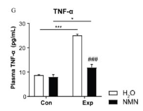 NMN prevents dramatic accumulation of inflammatory protein markers.