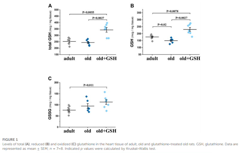 Glutathione plays key role in improving aging cardiovascular system