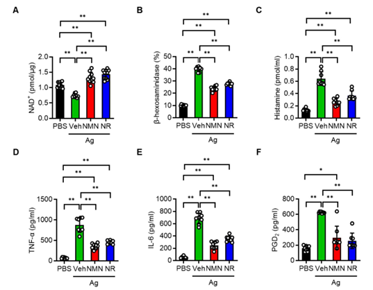 NAD+ and inflammatory mediator levels of mast cells in each group after stimulation