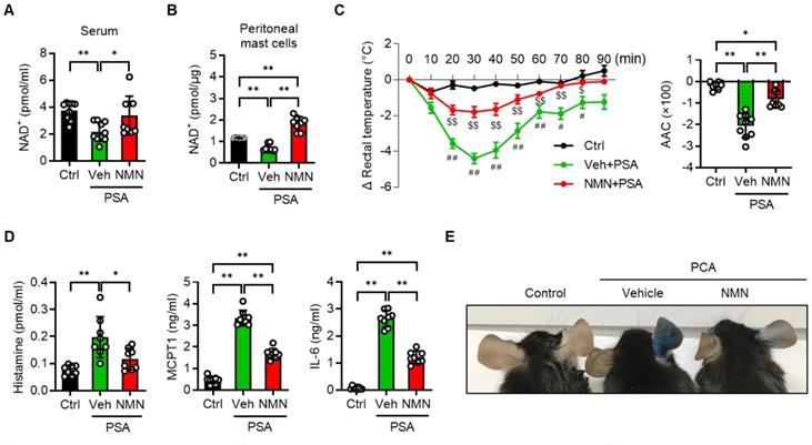 NAD+ and inflammation levels and related indicators of allergic symptoms in mice after NMN treatment