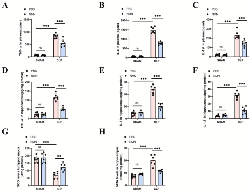 Figure: NMN reduces levels of inflammatory factors in plasma and hippocampus and oxidative stress in hippocampus